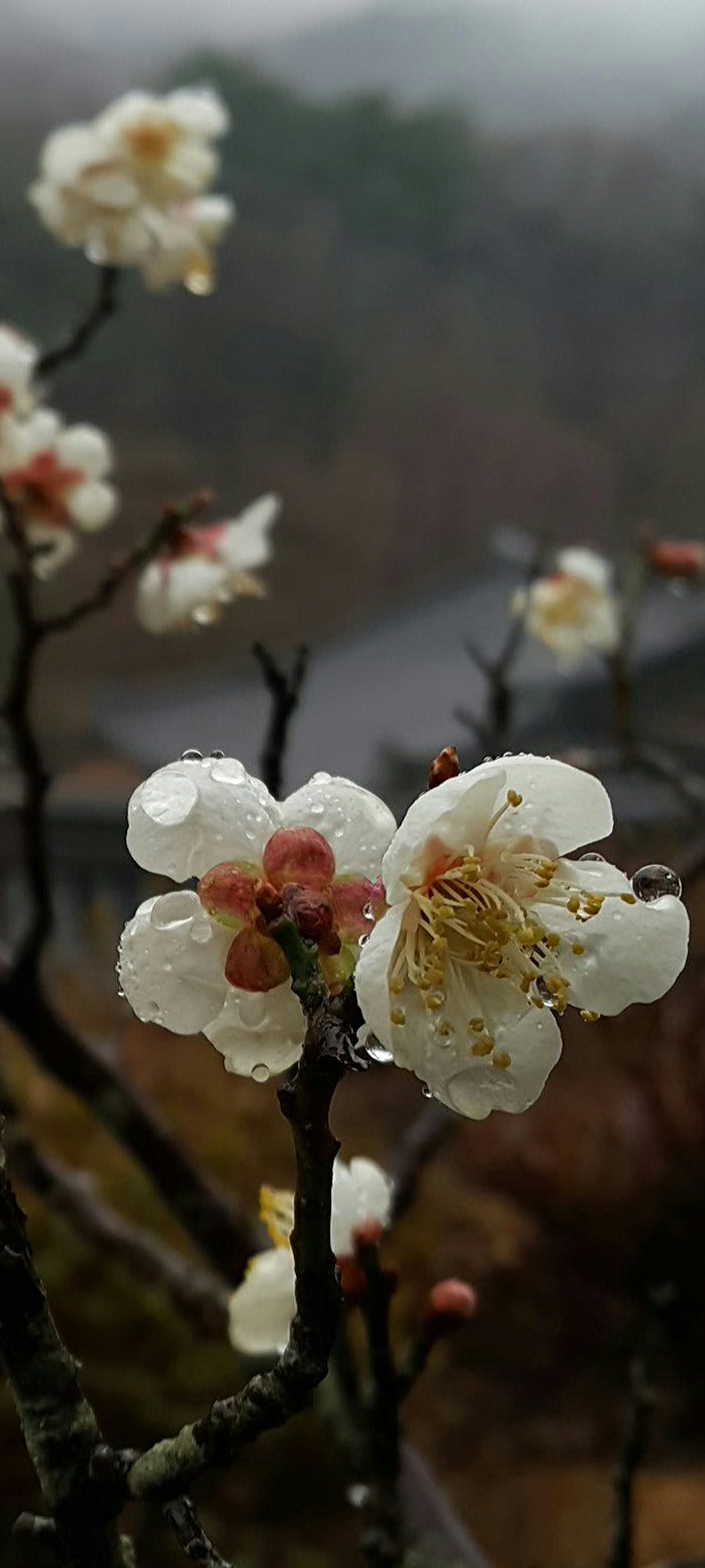 수련회