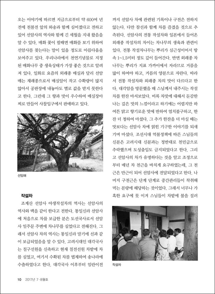 선암사 순례