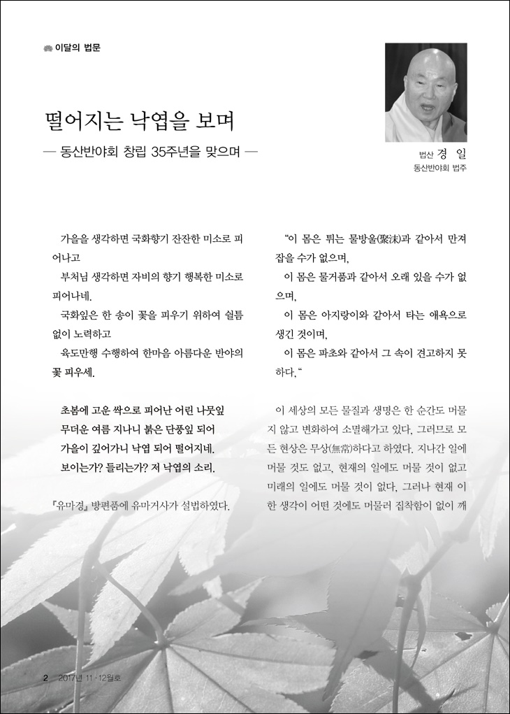 떨어지는 낙엽을 보며1