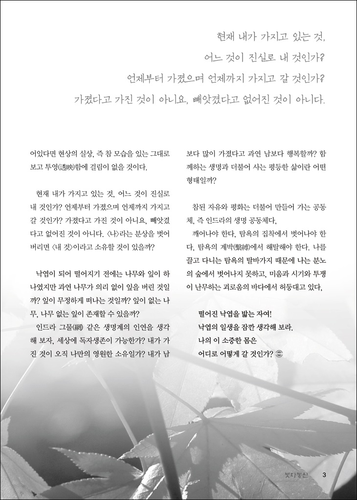 떨어지는 낙엽을 보며2