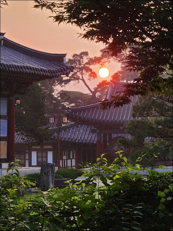 제6차전국염불만일회 26차년도 직지사염불정진대회 2일차 
